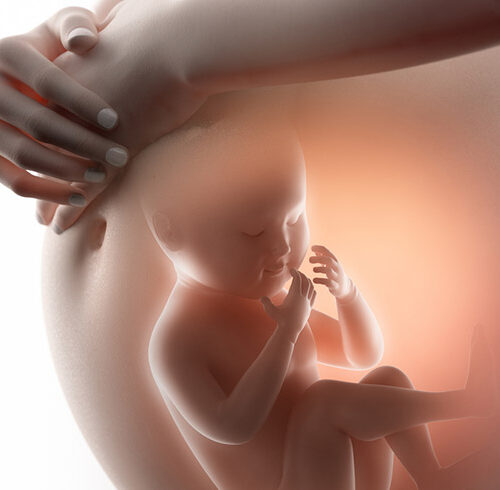 Gynaecological Clinic